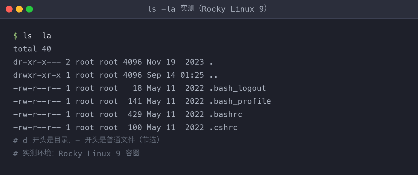 ls 实测