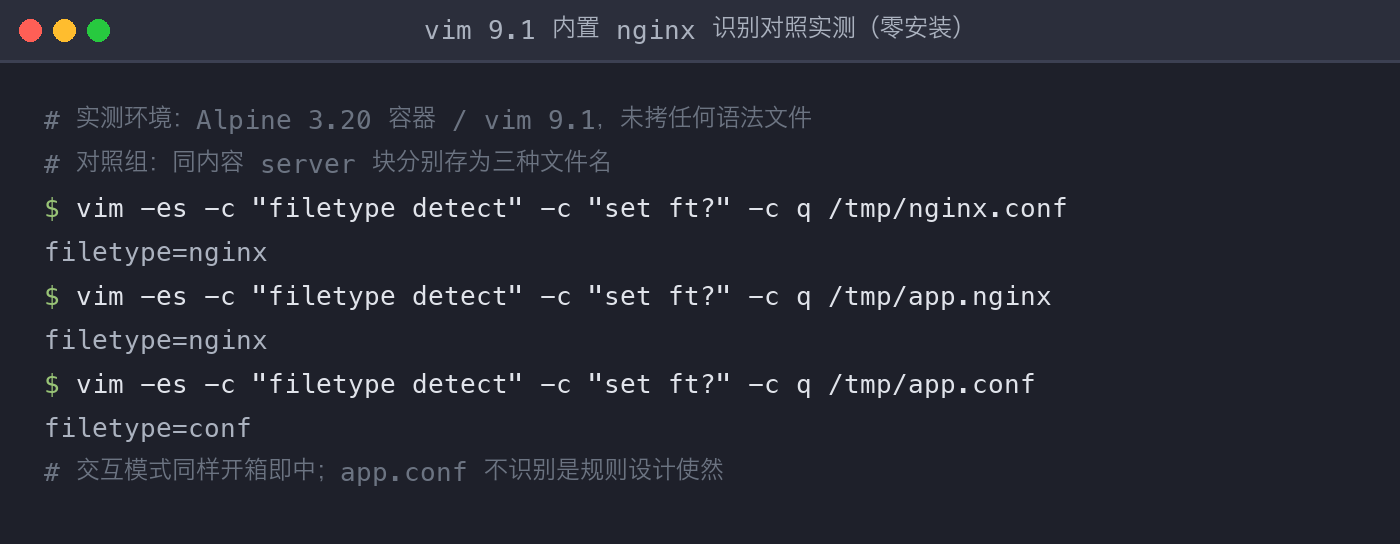 vim 9.1 内置识别对照实测